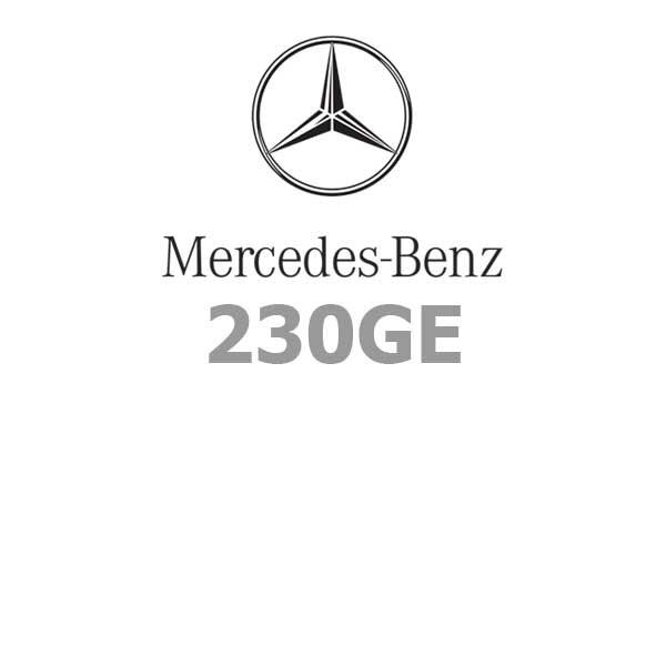 Mercedes-Benz 2380GE